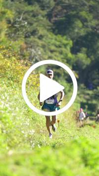 BIB:  <button type="button" onclick="openModal(26577241)" class="btn btn-primary btn-sm float-right" data-toggle="modal" data-target=".modal-high-quality">
                <i class="fa fa-download"></i> Download
                </button>